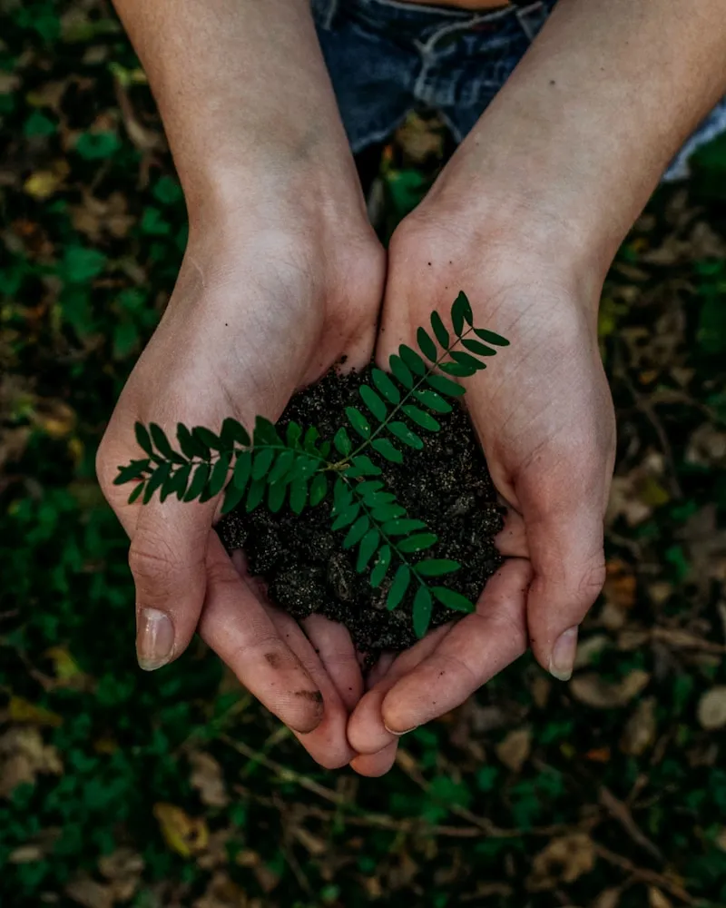 Environmental responsibility