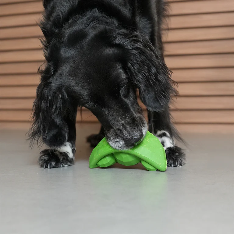 Green Bean