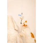 Feather Dice Cat Toy image 4