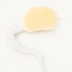 Bean Sprout Cat Toy image 5