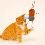 Beetle Ball Cat Toy image 3