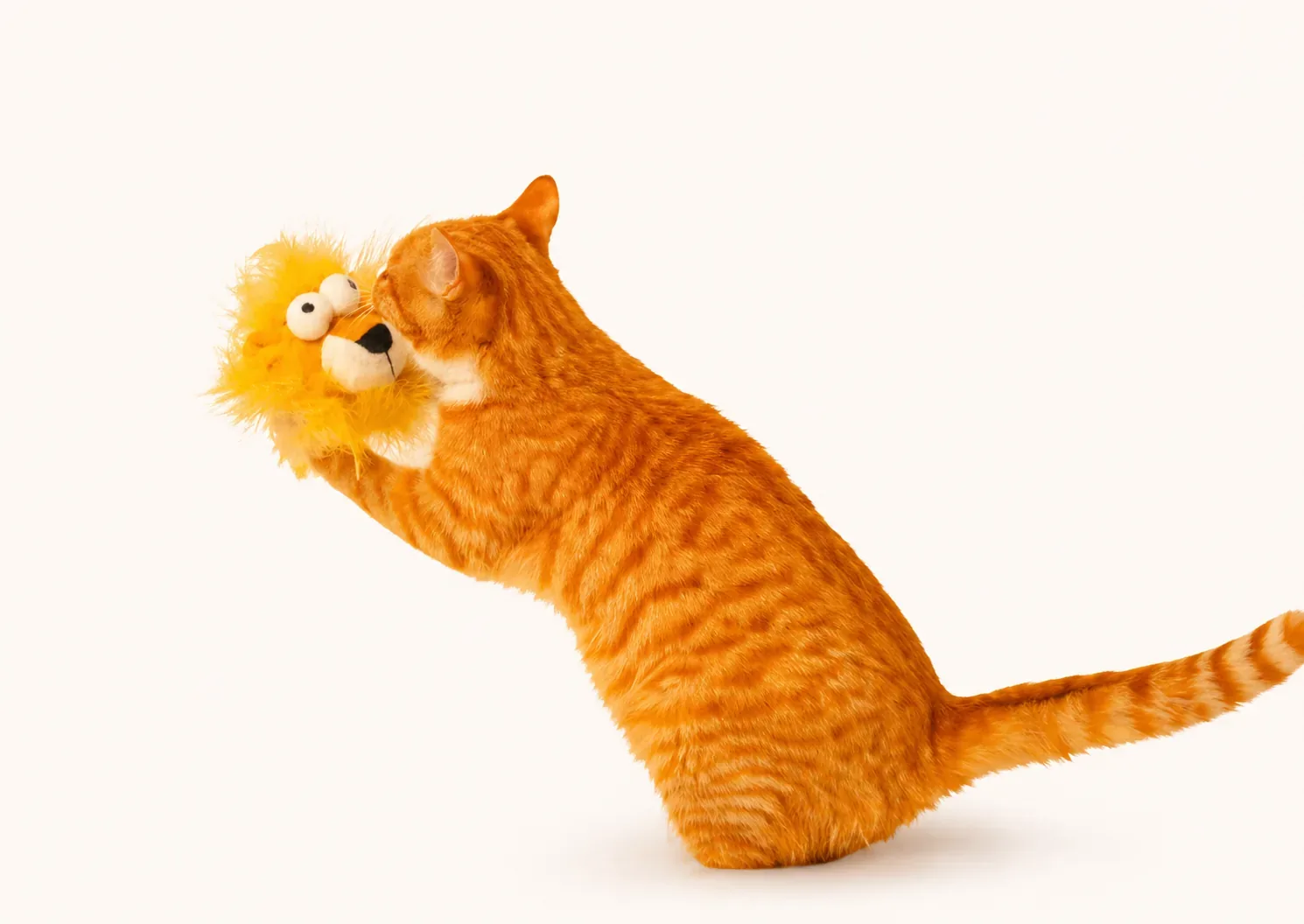 Fluffy Lion Cat Toy