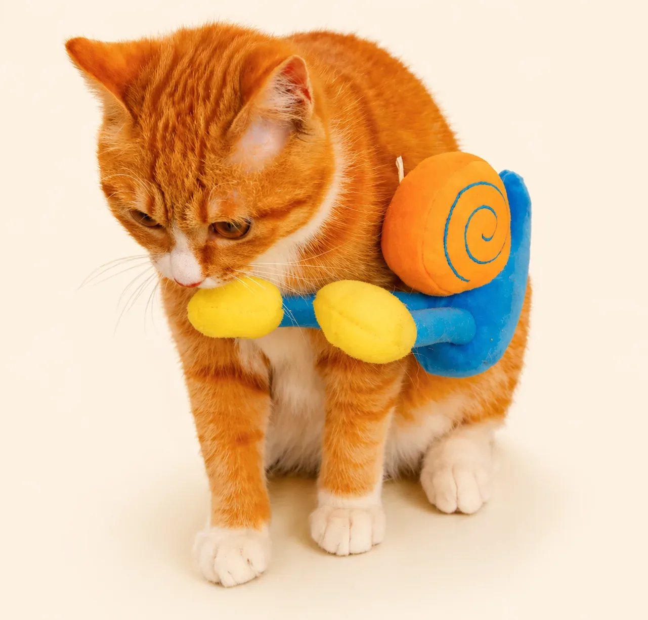 Giant Snail Cat Toy