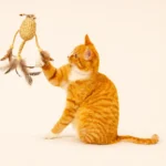 Little Wildman Cat Toy image 6