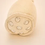 Lotus Root Cat Toy image 3