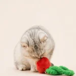 Onion Cat Toy image 5