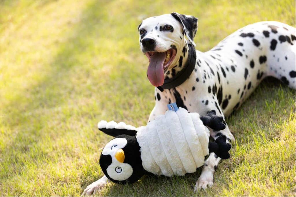 Penguin Dog Toy image 1