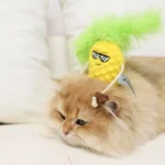 Pineapple Cat Toy image 1