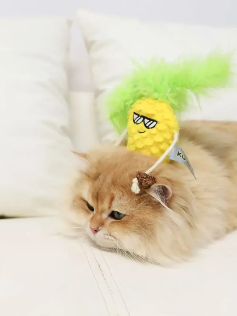 Pineapple Cat Toy