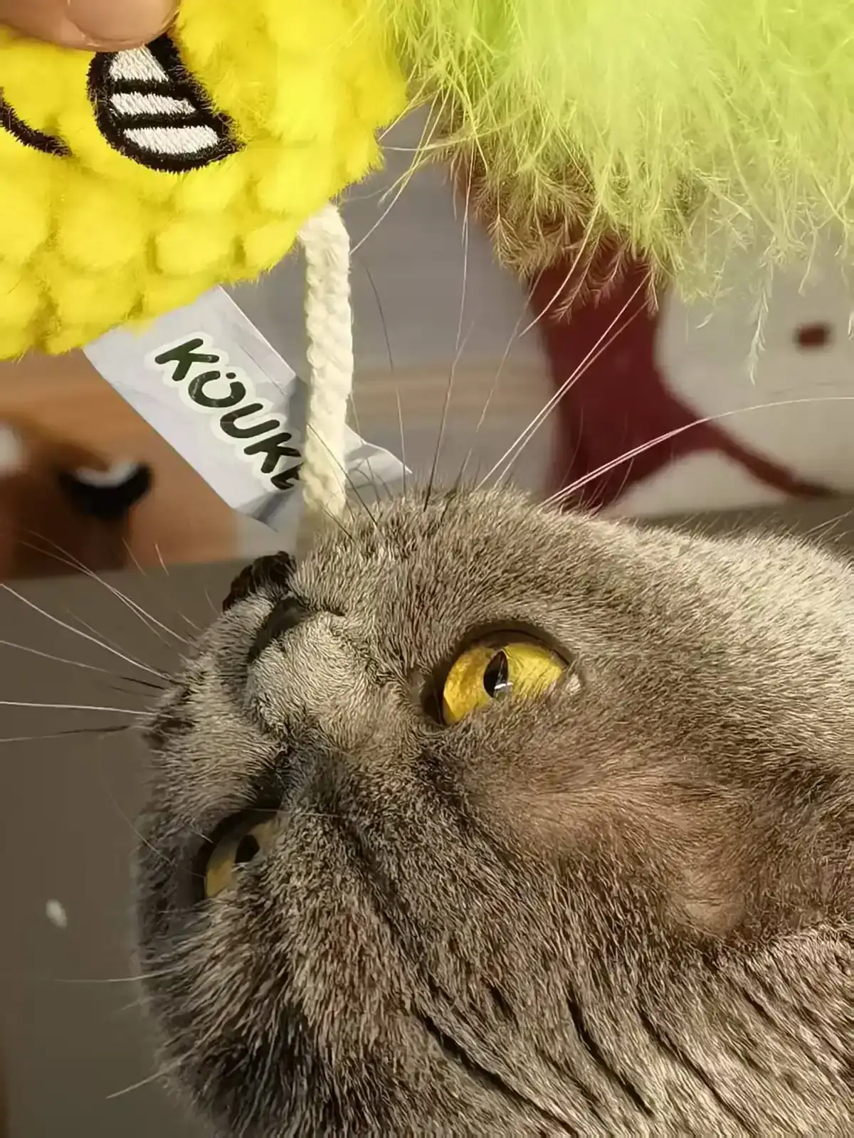 Pineapple Cat Toy
