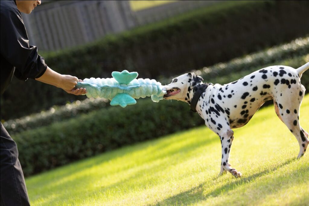 Seahorse Dog Toy image 1