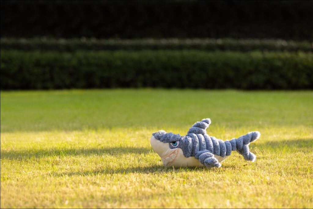 Shark Dog Toy image 1