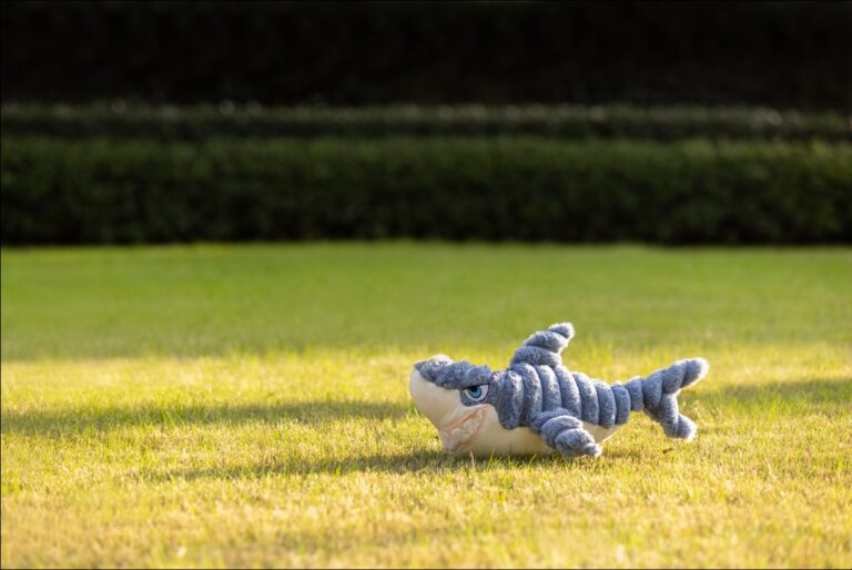 Shark Dog Toy