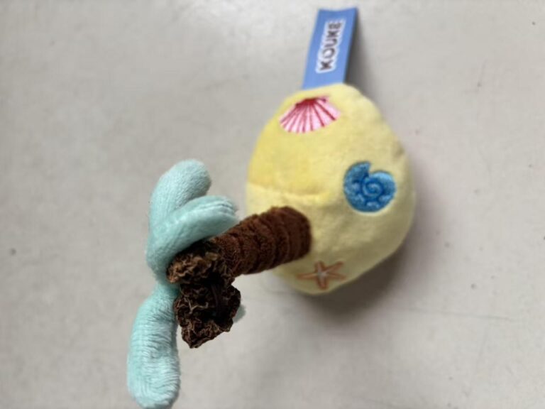 Tropical Coconut Cat Toy