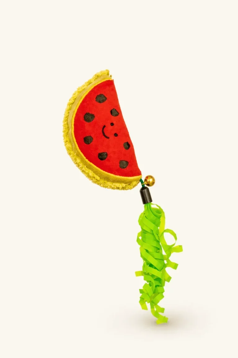 Watermelon Cat Toy